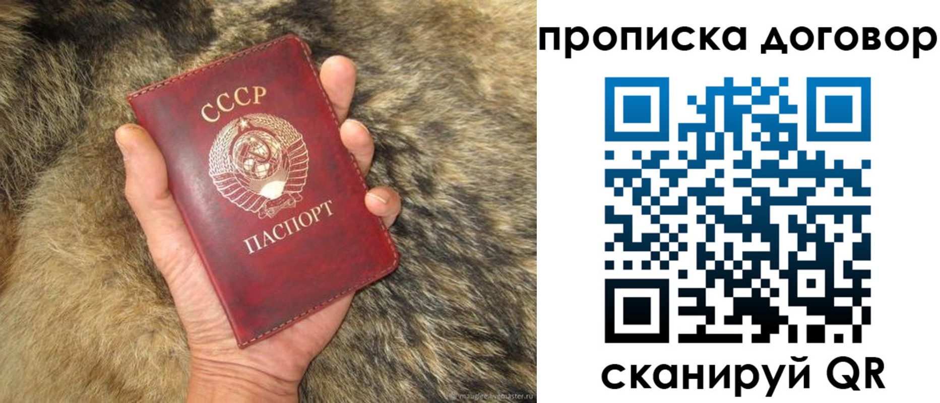 прописка регистрация в Абазе